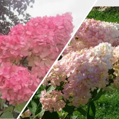 Комплект МНОГОГРАННОСТЬ в Речице