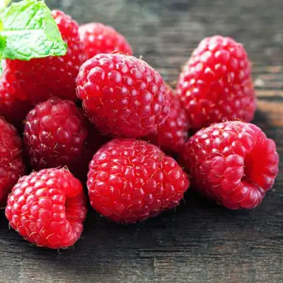 Малина ЭРИКА в Речице