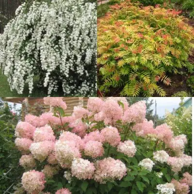 Комплект ФЕЙЕРВЕРК ЛЕТА в Речице