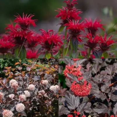 Комплект ОГНЕННЫЙ МИКС в Речице