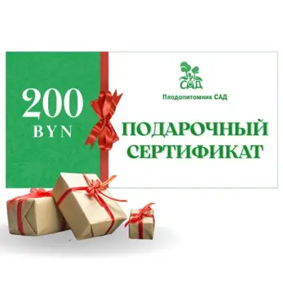 Подарочный сертификат на 200 BYN в Речице