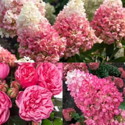 Комплект МАЛИНОВЫЙ ДЕСЕРТ в Речице