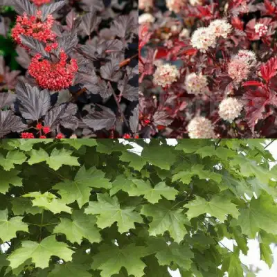 Комплект ОСЕННИЙ КОСТЕР в Речице