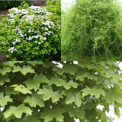 Комплект ЗЕЛЕНЫЙ ОАЗИС в Речице