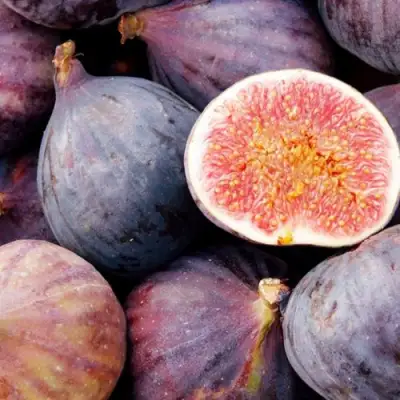 Инжир МУАССОН в Речице