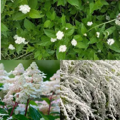 Комплект СКАНДИНАВСКИЙ СТИЛЬ в Речице