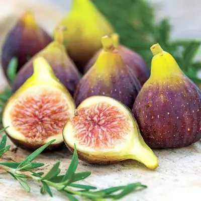 Инжир НИКИТСКИЙ в Речице