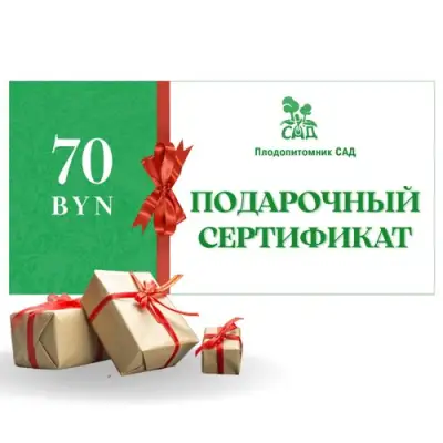Подарочный сертификат на  70 BYN в Речице