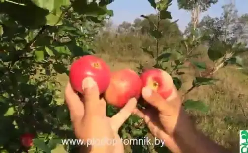 Превью видео