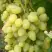 Виноград ЗАРНИЦА в Речице