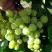 Виноград БАРС в Речице