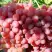 Виноград КИШМИШ КРАСНЫЙ в Речице