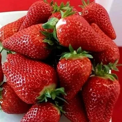 Клубника БРИЛЛА  Клубника БРИЛЛА в Речице