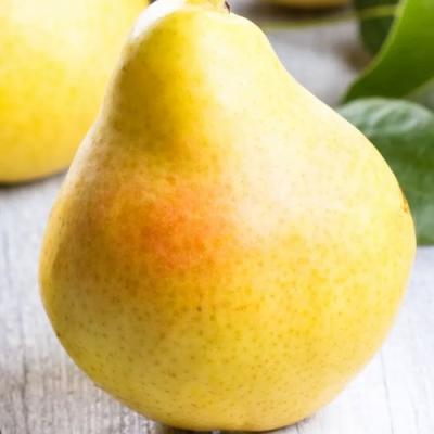 Желтая в Речице