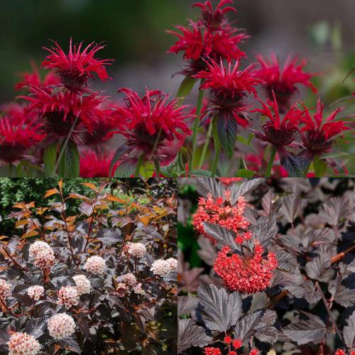 Комплект ОГНЕННЫЙ МИКС в Речице