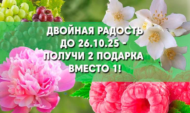 Двойная радость до 26.10.25 — получи 2 подарка вместо 1!
