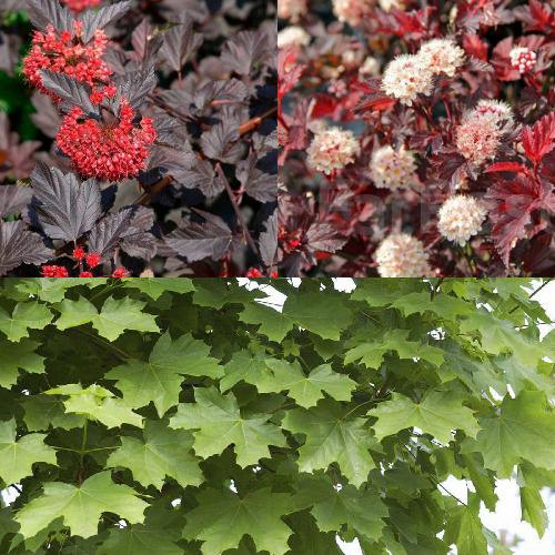 Комплект ОСЕННИЙ КОСТЕР в Речице