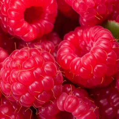 Красная в Речице