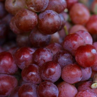 Красный в Речице