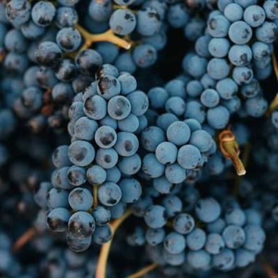 Технический в Речице