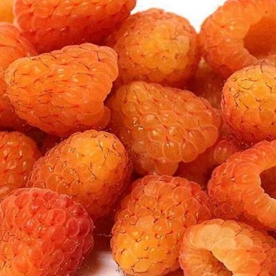 Оранжевая в Речице